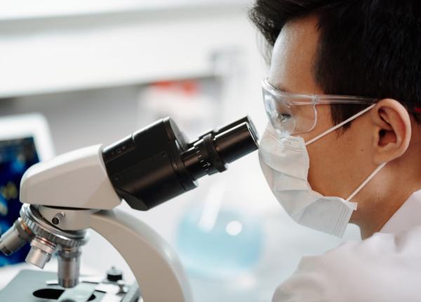 celulele cerebrale care mor in boala parkinson identificate crearea unui medicament revolutionar urmatorul pas