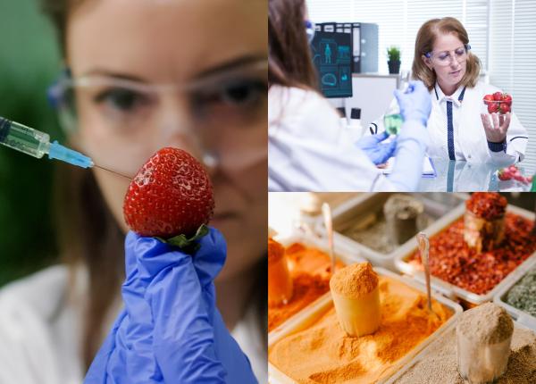 adevarul despre aditivii pe care i mancam zilnic sunt cancerigeni si eticheta verde intelese gresit ce e nitritul de sodiu adevarul despre aditivii pe care i mancam zilnic sunt cancerigeni si eticheta verde intelese gresit ce e nitritul de sodiu