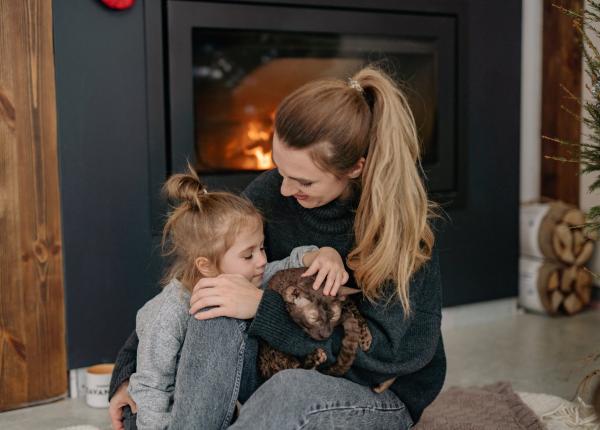 educarea sistemului imunitar cu pisici si caini medic inca din primul an de viata