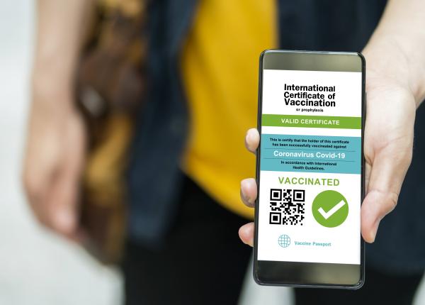 pana la ce data este valabil certificatul covid streinu cercel lege