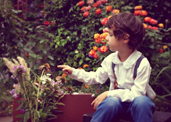 gradina senzoriala terapie prin stimularea simturilor cui se adreseaza