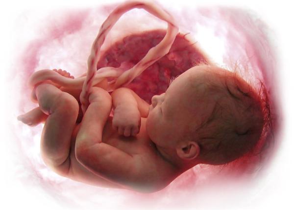 nasterea moment cheie tratamentul leziunilor cerebrale celule stem