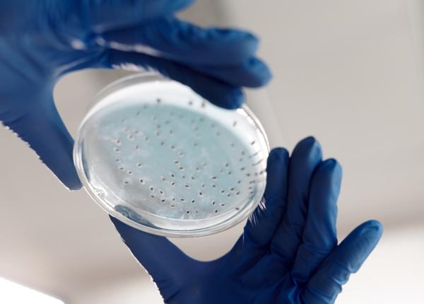 probioticele microbii pozitivi pentru organism cum actioneaza probioticele microbii pozitivi pentru organism cum actioneaza