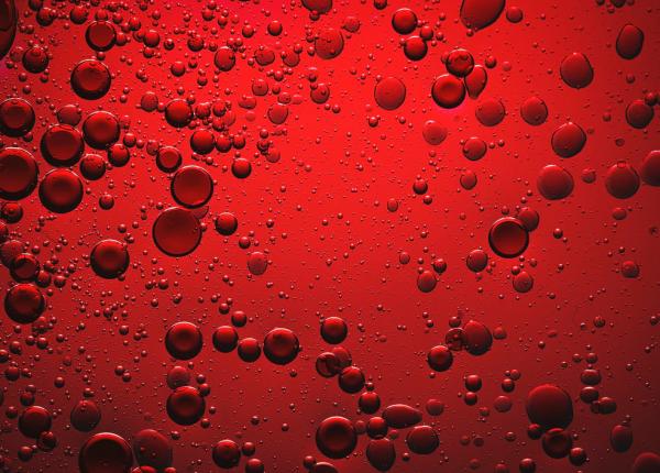 riscurile autotransplantului cu celule stem dr alina tanase doza este calculata la limita toxicitatii riscurile autotransplantului cu celule stem dr alina tanase doza este calculata la limita toxicitatii