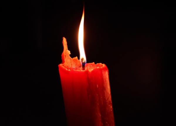 constantin mircioiu a murit victor voicu boala de sistem limfatic o imuno depresie cu anticorpi aproape de zero la covid 19