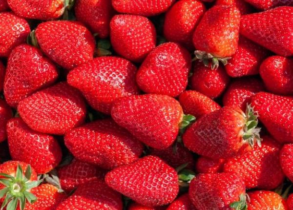 te balonezi dupa ce mananci capsuni ce boli poate ascunde acest simptom deranjant