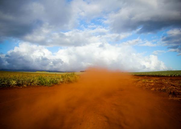 nor de praf saharian wheezing afectiunea inhalezi praful mercur nor de praf saharian wheezing afectiunea inhalezi praful mercur