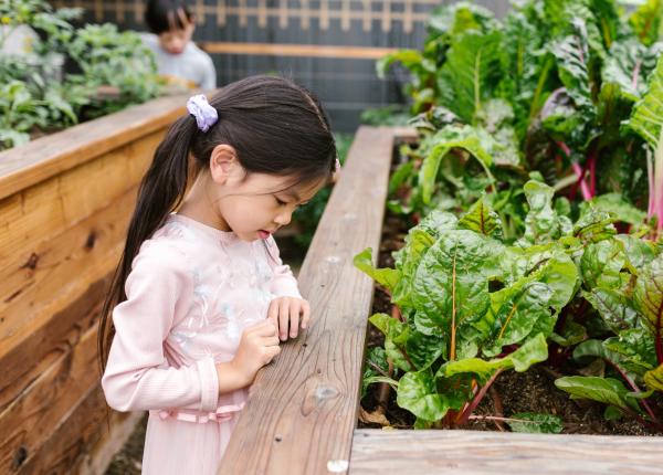 ticurile nervoase la copii cand sunt firesti