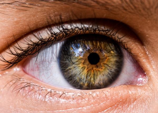 ce este degenerescenta maculara