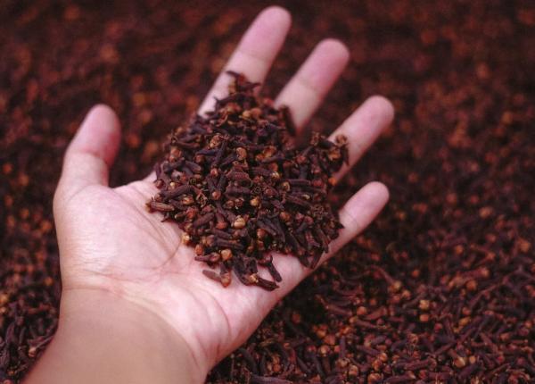 planta care te scapa de parazitii intestinali lidia fecioru tratamentul dureaza 21 de zile planta care te scapa de parazitii intestinali lidia fecioru tratamentul dureaza 21 de zile