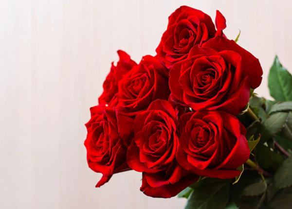 trandafirii sursa de vitamine si leac pentru mai multe boli de ce sa bei ceai sau sirop de trandafiri