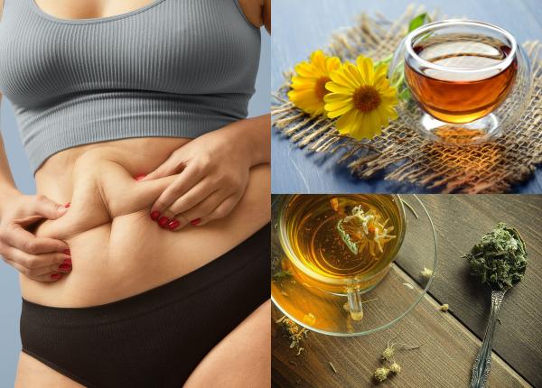 ceaiul de slabit boala curata senna fenproporex si pseudoefedrina ingredientele ascunse pe eticheta dezvolta cancer si infarct