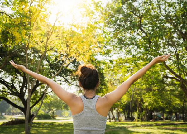 silvoterapia puterea vindecatoare a naturii cum ajuta la mentinerea sanatatii