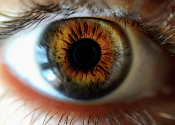 glaucomul tratat lentile wireless brimonidina medicamentul anti glaucom