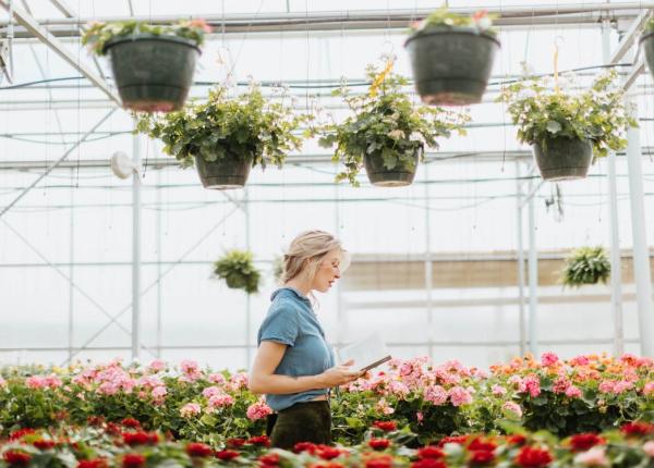 terapia florala bach benefica pentru tratarea starilor depresive si fricilor savoiu nu are contraindicatii