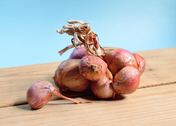 ceapa beneficii unice pentru sanatate reduce inflamatiile si regleaza zaharul din sange