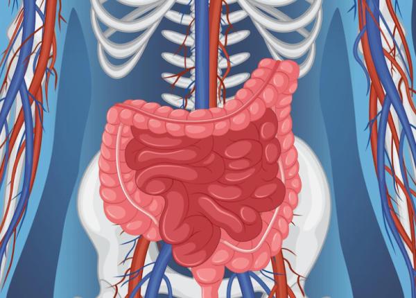 medicamentul vectibix eficient in cancerul de colon cercetatori cea mai lunga supravietuire raportata vreodata