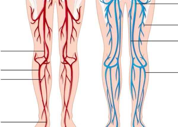 de la ce apar varicele care sunt simptomele si unde gresim e foarte serios se atrofiazade la ce apar varicele care sunt simptomele si unde gresim e foarte serios se atrofiaza