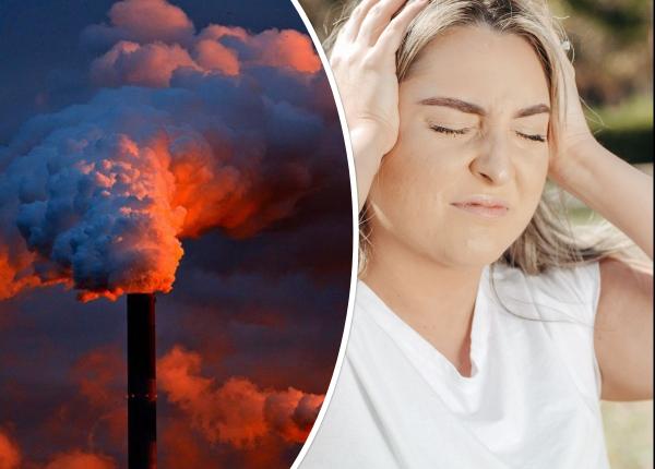 migrenele cauzate de factorii de mediu poluarea poate declasa durerile de cap