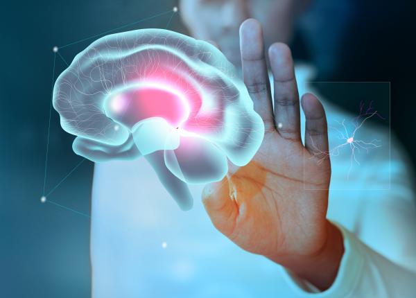 creierul omului batran mai elastic decat cel al tinerilor capacitatea intelectuala atinge apogeul la 80 sau chiar la 90 de ani