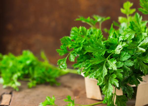 dieta cu patrunjel cum sa slabesti 5 kg in 7 zile cele 2 retete senzationale