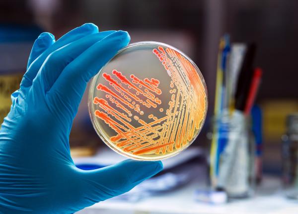 infectia cu chlamydia cauze si tratament poate duce la infertilitate