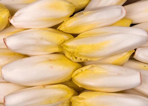 bogata in vitamine andiva are efecte anticancerigene si antiinflamatorii