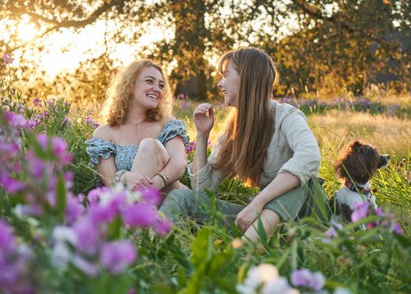 lista scurta pentru o viata echilibrata vasi radulescu
