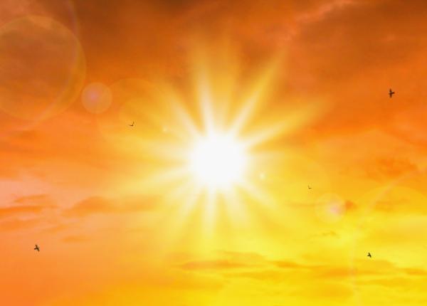 canicula problema pentru cardiaci medic atentie la tratamente pierderea constientei necesita obligatoriu interventia medicilor de urgenta