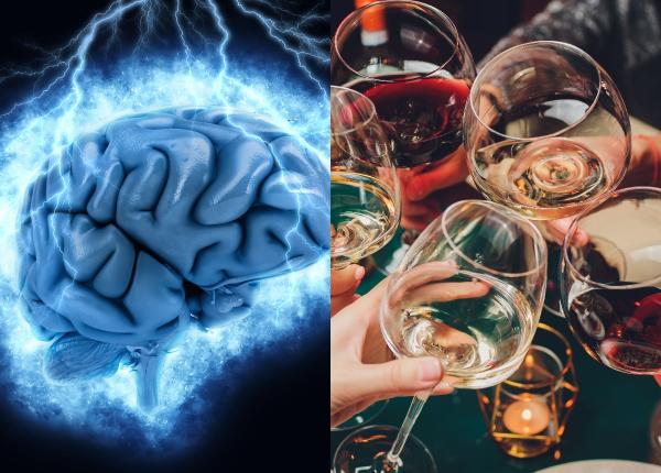 ce se intampla in creier cand bei vin sau tuica vlad ciurea se stafideste doza de alcool este pentru fiecare in parte