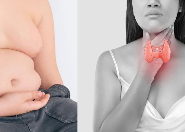 kilogramele in plus de la glanda mit daramat poiana despre tratamentul cu hormoni tiroidieni o mare greseala