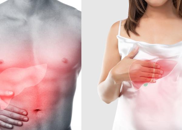 ficatul gras boala la moda din cauza dietei dragos romanescu despre tratament un ficat gras cirotic se regenereaza greu