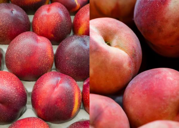 piersici si nectarine care e diferenta care e mai buna pentru sanatate si silueta