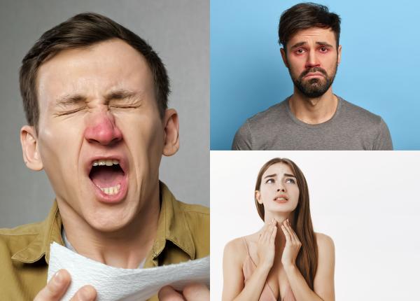 alergia ciudata descoperita la romani carmen bunu panaitescu cine ar fi crezut noi nu suntem obisnuiti nu e normal alergia ciudata descoperita la romani carmen bunu panaitescu cine ar fi crezut noi nu suntem obisnuiti nu e normal