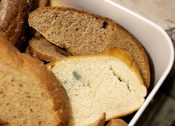 alimentele mucegaite sanatoase sau mortale care preparate pot fi consumate