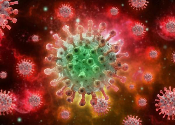 primele decese la bolnavi de variola maimutei in afara africii