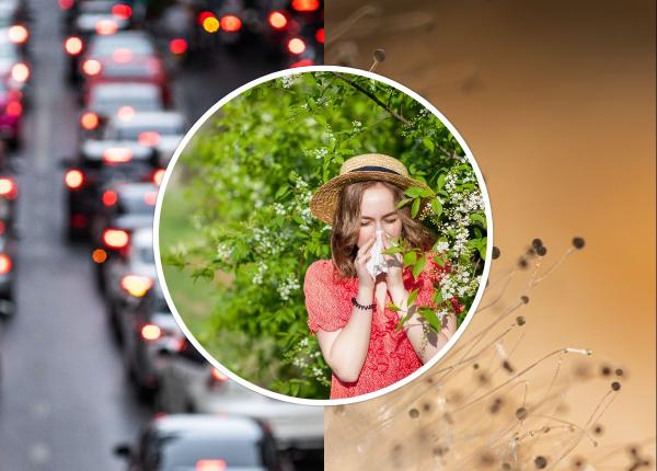 alergiile factori declansatori medic cand atmosfera este mai incarcata traficul este intens sau orasul este aglomerat atunci poluarea chimica poate sa le agraveze alergiile factori declansatori medic cand atmosfera este mai incarcata traficul este intens sau orasul este aglomerat atunci poluarea chimica poate sa le agraveze