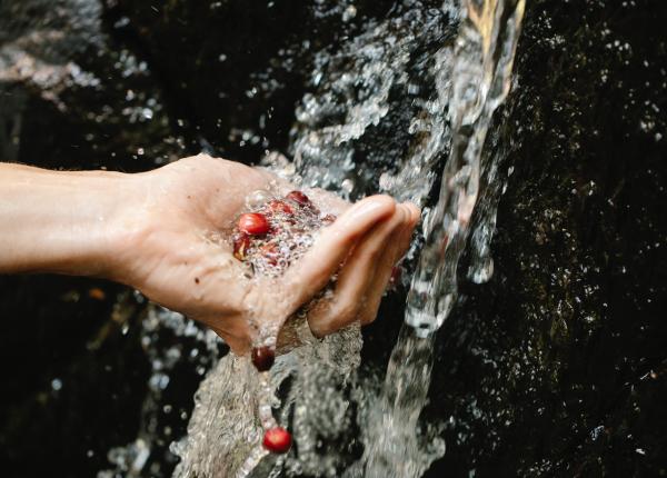 apa de izvor riscuri pentru sanatate 12 boli pe care le poti lua apa de izvor riscuri pentru sanatate 12 boli pe care le poti lua