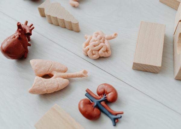 fibroza chistica cauze si tratament tusea si transpiratia semnale de alarma fibroza chistica cauze si tratament tusea si transpiratia semnale de alarma
