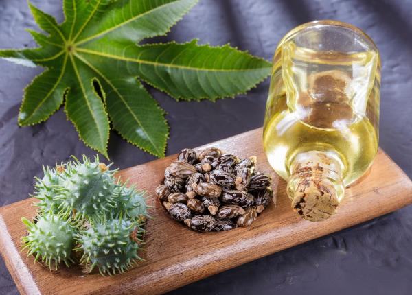 uleiul de ricin beneficii pentru imunitate si sanatatea parului si a pieii care sunt contraindicatiile sale