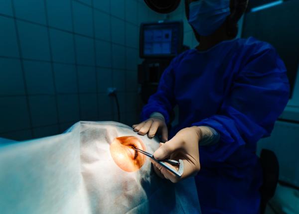 cornee modificata genetic solutie pentru nevazatori cercetator asta ne va permite sa ocolim problema lipsei de tesut