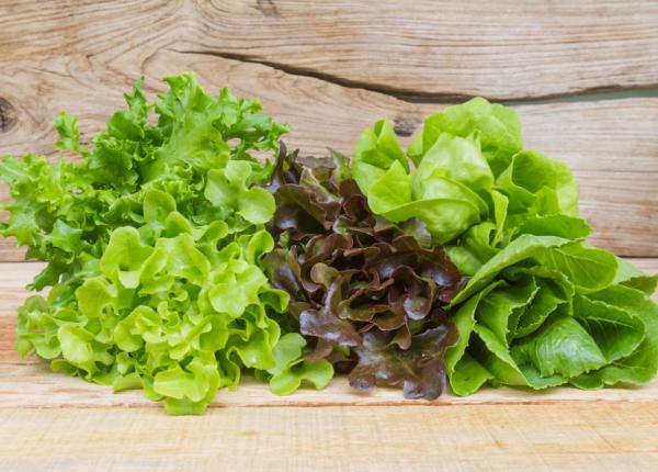 salata verde cu frunze rosii efecte asupra tensiunii si inimii care sunt beneficiile acesteia