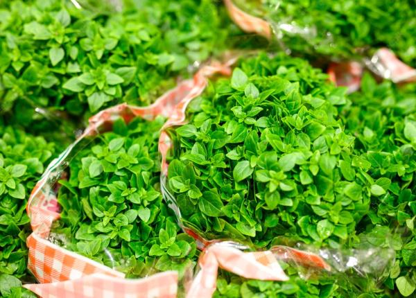 busuiocul planta aromatizata cu proprietati antiinflamatoare benefic si pentru cancerul pulmonar