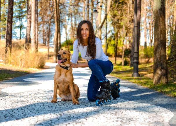 cainele beneficii pentru sanatate cum te ajuta patrupedul sa te mentii