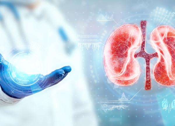 ptoza renala deplasarea rinichilor circa 20prc din femei sunt afectate cum se manifesta boala