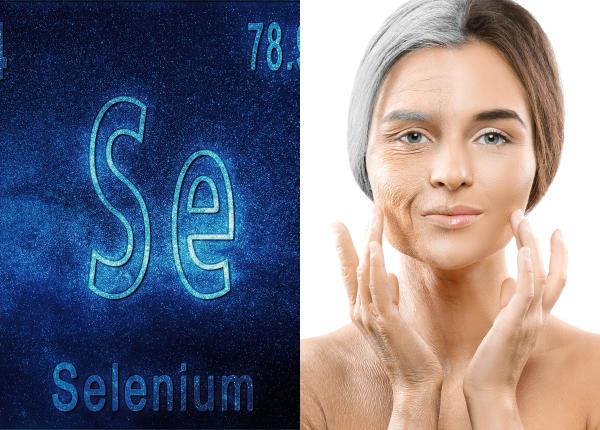 seleniul rol cheie in prelungirea duratei de viata poate preveni bolile neurodegenerative