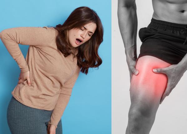 durere de spate cand se ajunge la cutit semnul amortelii gramescu