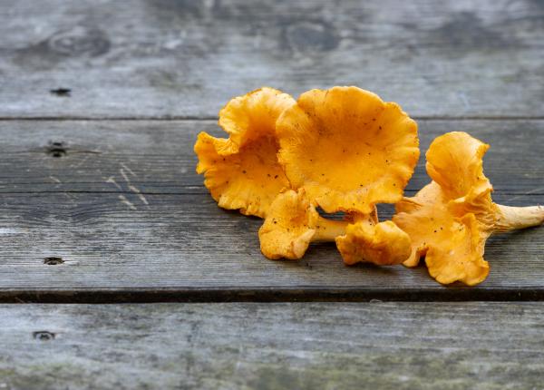 galbiorii rol cheie pentru mentinerea sanatatii oaselor sase motive pentru care sa ii incluzi in dieta