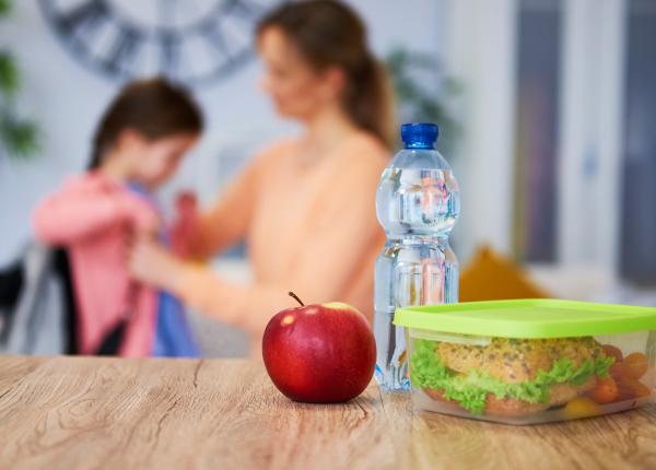 care este pachetul ideal pentru scoala nutritionist va primi tot ce are nevoie structurat organizat care este pachetul ideal pentru scoala nutritionist va primi tot ce are nevoie structurat organizat