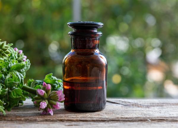 uleiul esential de muscata proprietati de vindecare cum sa il prepari